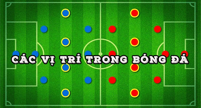 NET88 Bóng đá có bao nhiêu vị trí? Tìm hiểu vị trí DM trong bóng đá